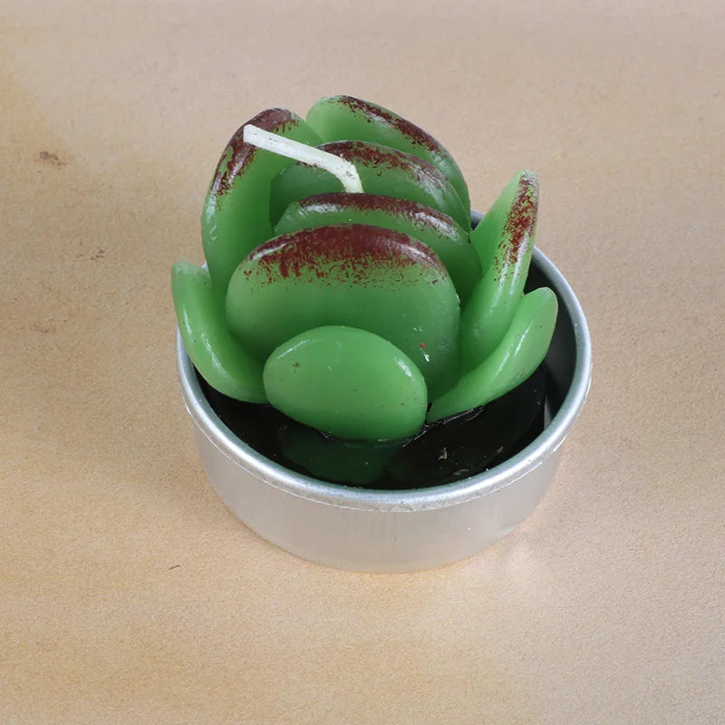 Cactus Scented Candles