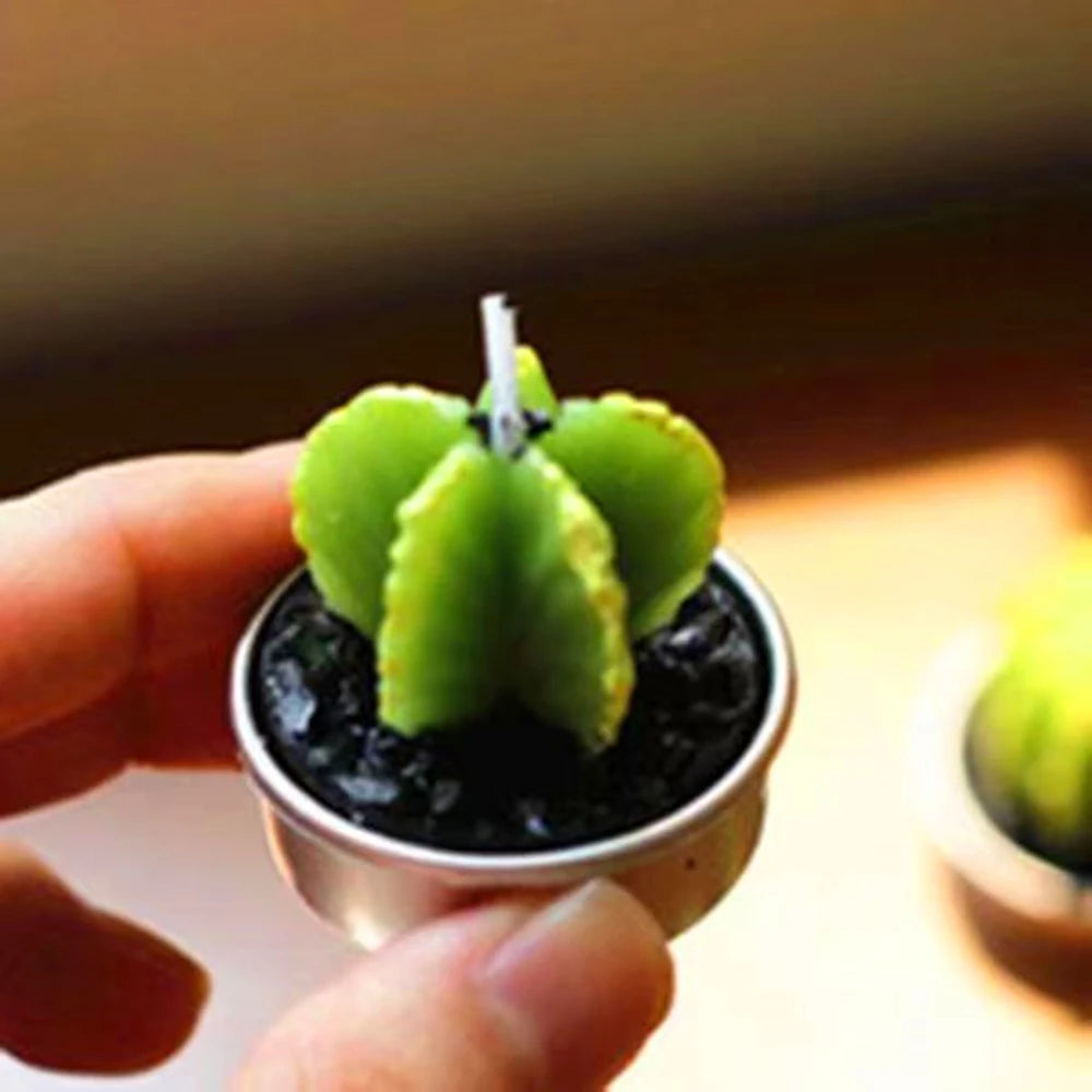 Cactus Scented Candles