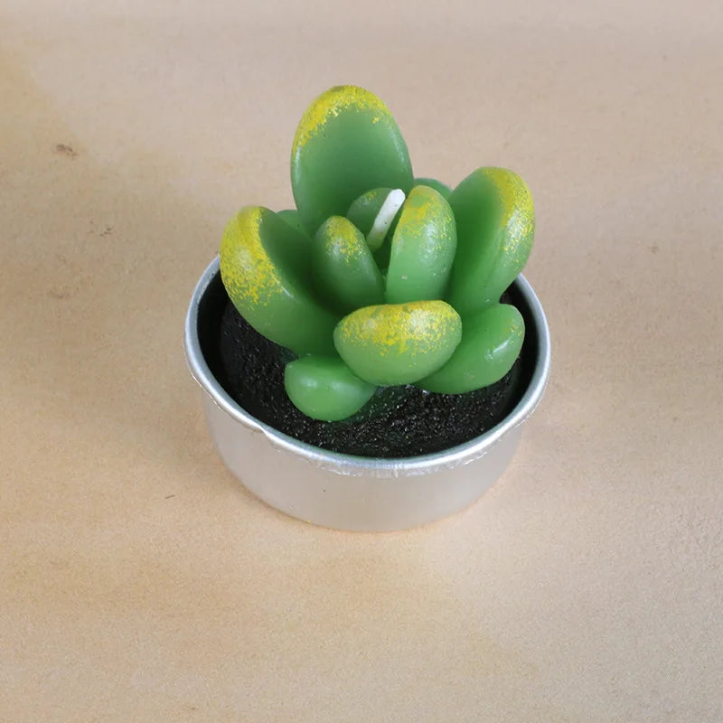 Cactus Scented Candles