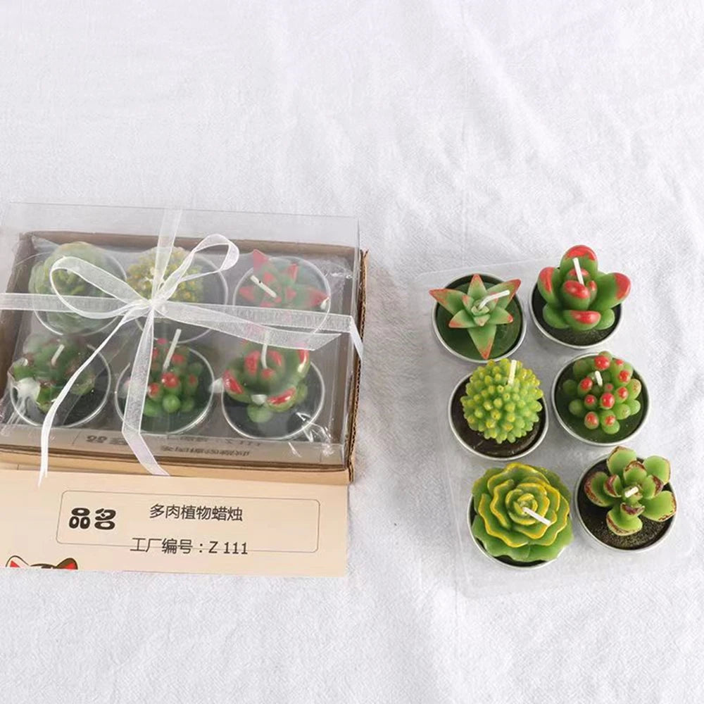 Cactus Scented Candles